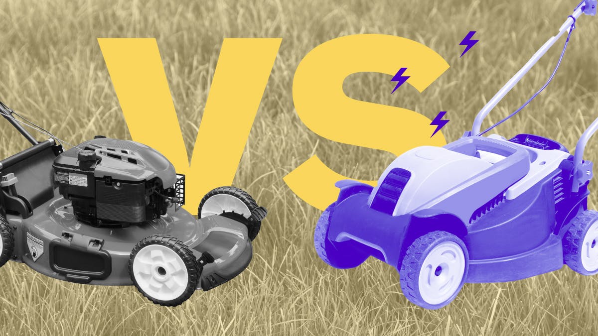 black and white gas lawn mower and purple electric lawn mower on a grass background with large letters "v" "s" behind the lawn mowers